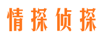 建宁市私家侦探